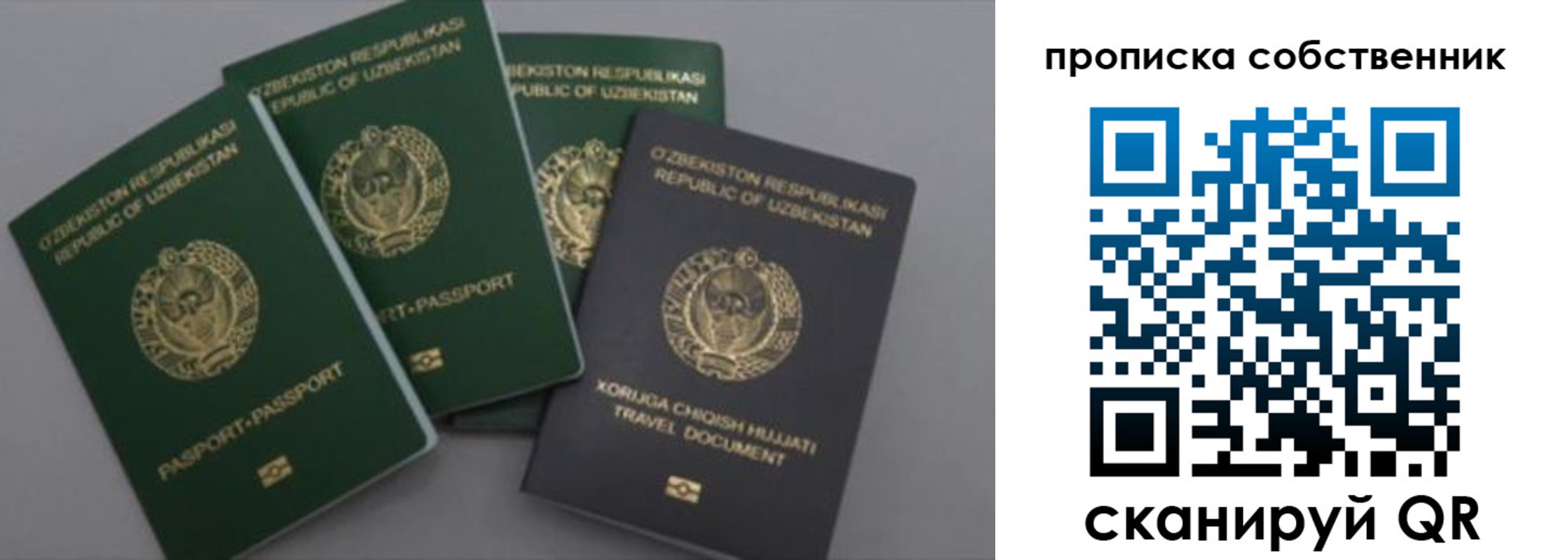 прописка штамп в Кингисеппе